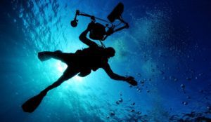 Sea Diver Light Water Scuba Diving Ocean healthpigeon
