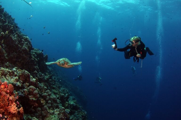 Things You Need to Know Before Scuba Diving